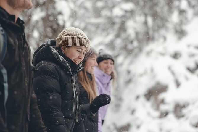 Johnston Canyon: Frozen Falls - Exploring Johnston Canyons Lower and Upper Falls