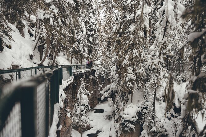 Johnston Canyon: Frozen Falls - Meeting Point, Timing, and Group Size