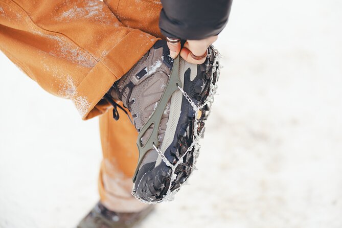 Johnston Canyon: Frozen Falls - The Value of a Guided Winter Hike in Johnston Canyon