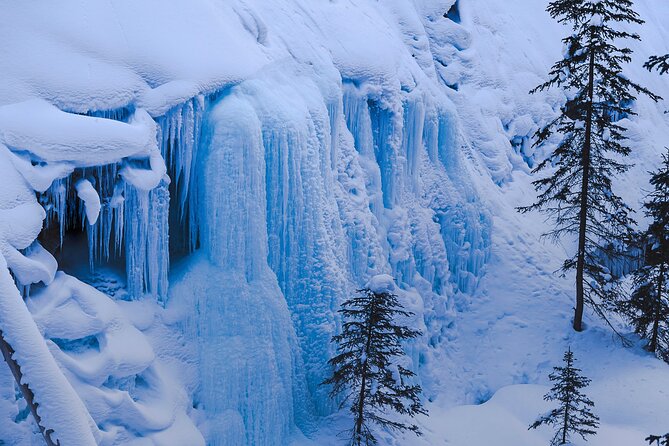 Johnston Canyon Frozen Waterfalls & Banff Backroads Wildlife Tour - Optional Upgrades: Lunch and Hotel Pickup