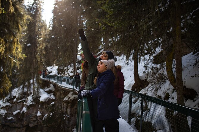 Johnston Canyon Frozen Waterfalls & Banff Backroads Wildlife Tour - Wildlife Viewing Opportunities