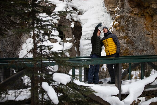 Johnston Canyon Frozen Waterfalls & Banff Backroads Wildlife Tour - Physical Requirements and Accessibility