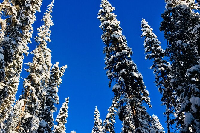 Johnston Canyon Icewalk from Banff AM - Practical Tips for the Tour