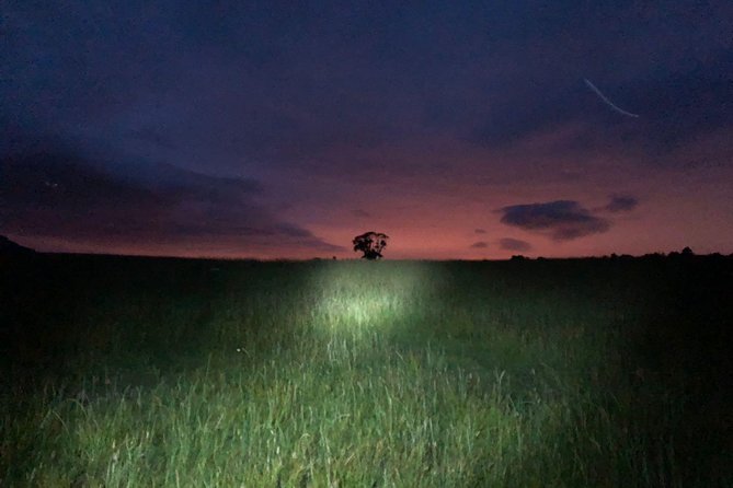 Join the Dark Side of Magical Nature - The Role of the Guide and the Atmosphere