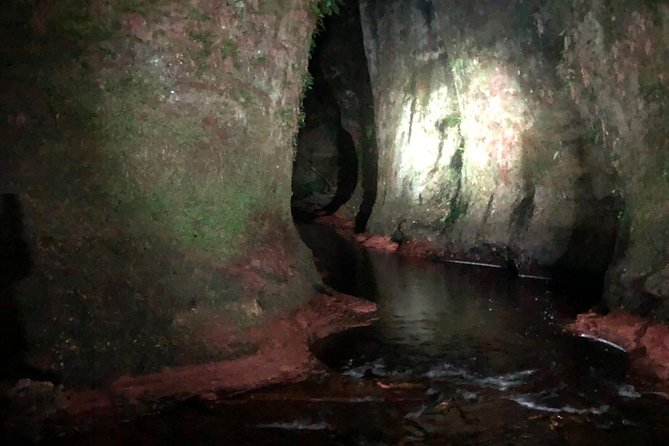 Join the Dark Side of Magical Nature - Practical Tips and Included Items