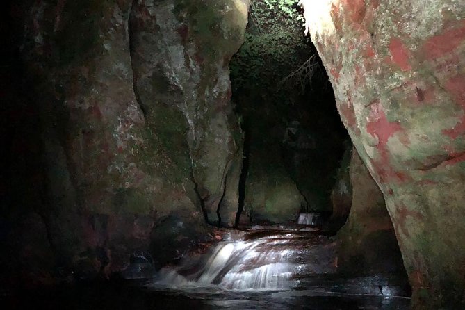 Join the Dark Side of Magical Nature - The Experience from a Review Perspective