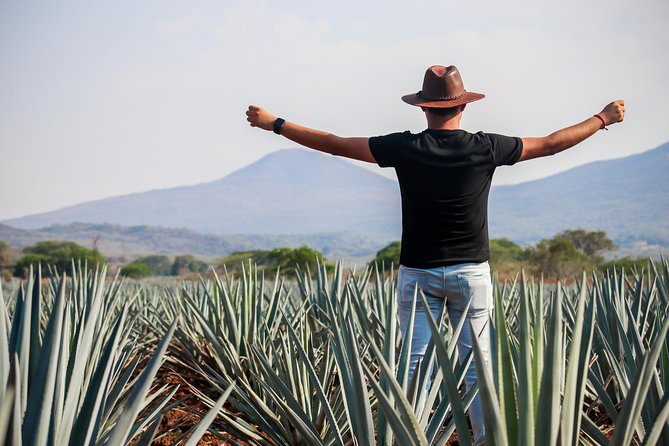 José Cuervo Tequila Day Experience from Guadalajara - Key Points