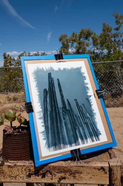 Joshua Tree: Cyanotype Sunprint Workshop - Starting Point and Meeting Details in Joshua Tree