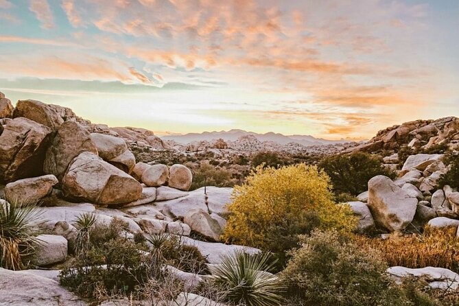 Joshua Tree National Park and Pioneertown Tour - Practical Details: Meeting Point, Group Size, and Accessibility