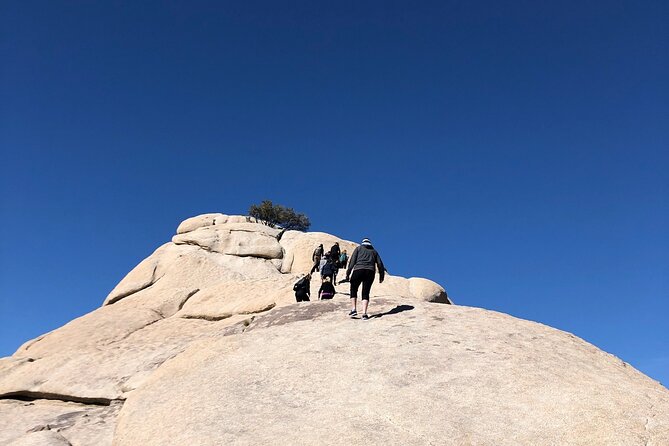 Joshua Tree National Park Driving Tour - Key Points