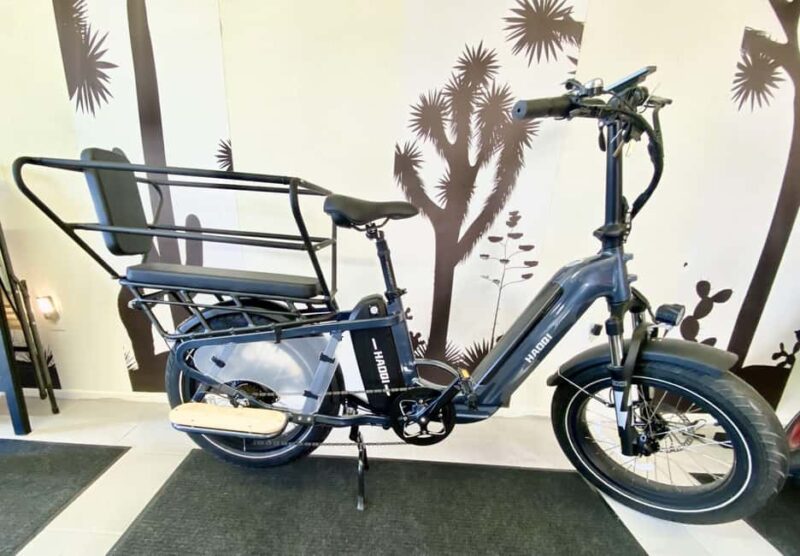 Joshua Tree National Park: E-Bike Rental - Choosing the Right E-Bike for Your Exploration Style