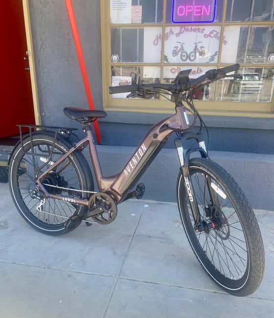 Joshua Tree National Park: E-Bike Rental - The Sum Up: A Flexible and Fun Way to Discover Joshua Tree