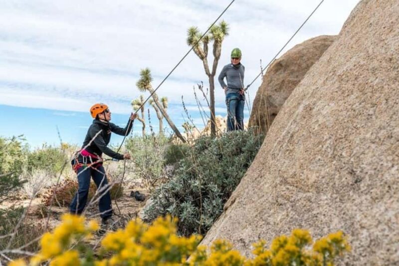 Joshua Tree National Park: Private Rock Climbing Trip - Explore Over 9,000 Climbing Routes in Joshua Tree