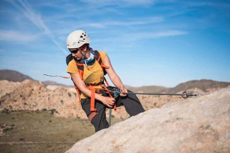 Joshua Tree National Park: Rappelling Experience - Timing and Language Options for the Rappelling Tour