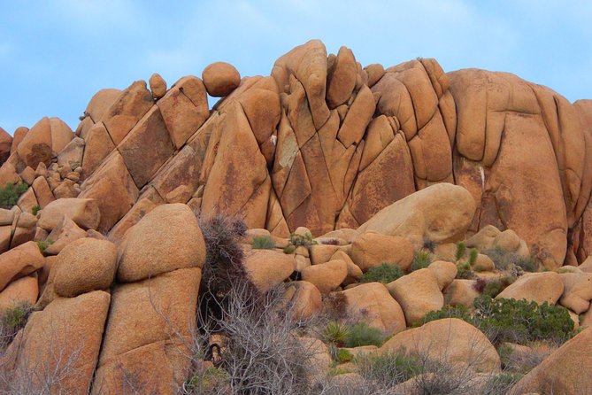 Joshua Tree National Park Scenic Tour - Key Points