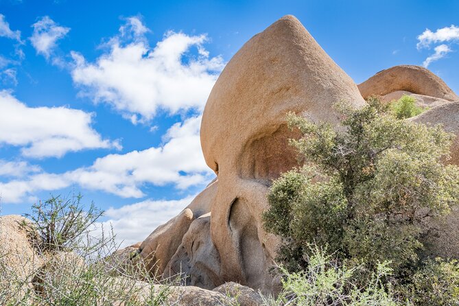 Joshua Tree National Park Self-Guided Audio Tour - Challenging Hikes with Panoramic Views