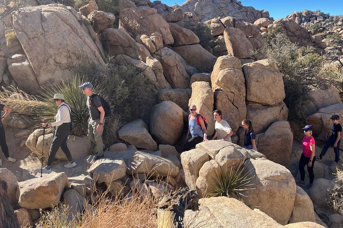 Joshua Tree National Park Sightseeing Adventure Tour - Visiting Quail Springs Trail: Oldest Rocks in Joshua Tree
