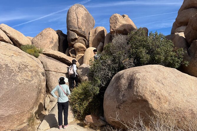 Joshua Tree National Park Sightseeing Adventure Tour - Walking Through Surreal Formations at Cap Rock