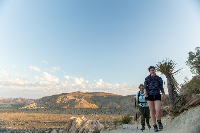 Joshua Tree Sunset & Stargazing Private Tour & Hike - Joshua Tree Sunset & Stargazing Tour: An Overview of the Experience