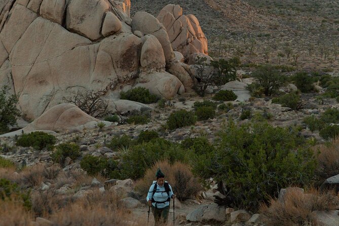 Joshua Tree Sunset & Stargazing Private Tour & Hike - The Gourmet Picnic Dinner in the Desert