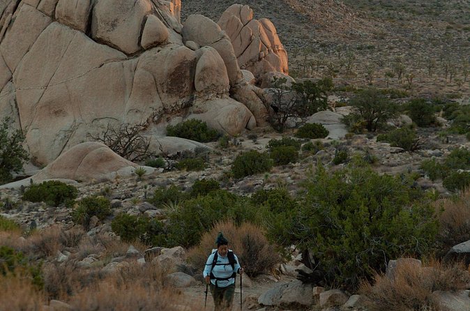 Joshua Tree Sunset & Stargazing Private Tour & Hike - Final Thoughts on the Joshua Tree Sunset & Stargazing Tour
