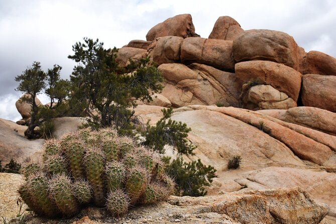 Joshua Tree's Hidden Valley Self-Guided Walking Tour - Key Points