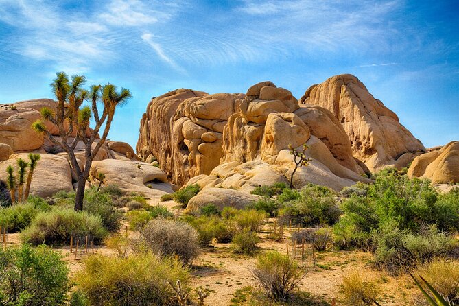 Joshua Tree's Hidden Valley Self-Guided Walking Tour - Discovering Hidden Valleys Rock Formations