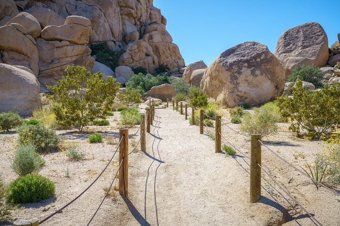 Joshua Tree's Hidden Valley Self-Guided Walking Tour - The Historical Tales of Cattle Rustlers in the Valley