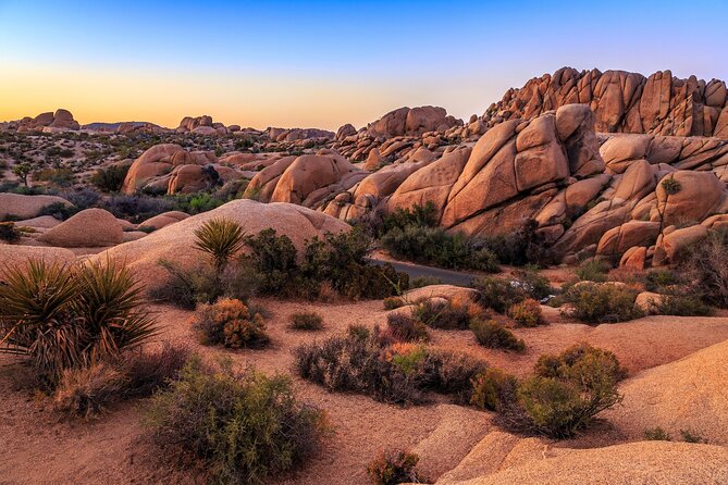 Joshua Tree's Hidden Valley Self-Guided Walking Tour - What You Learn About Joshua Tree’s Unique Environment
