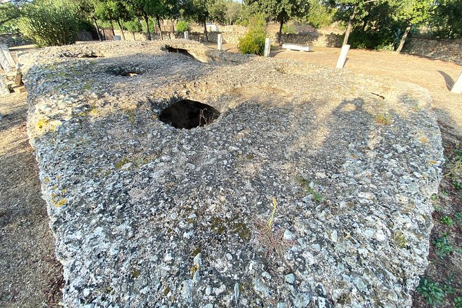 Journey by Tuk-Tuk - Discover the Ancient Treasures of Sardinia - Additional Stops: Necropoli, Museo, Corso Umberto, and Parco