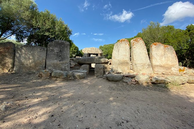 Journey by Tuk-Tuk - Discover the Ancient Treasures of Sardinia - Practical Aspects: Transport, Guide, and Audio System