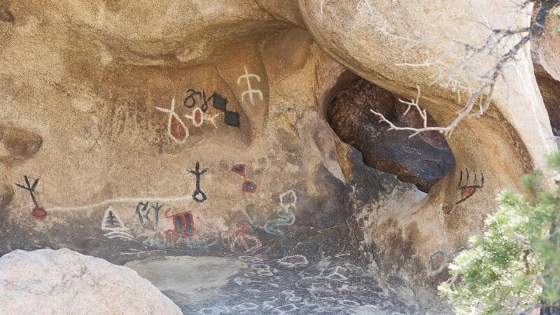 Journey into Joshua Tree: Audio Driving Tour and Local Guide - Comparing Similar Experiences in Joshua Tree