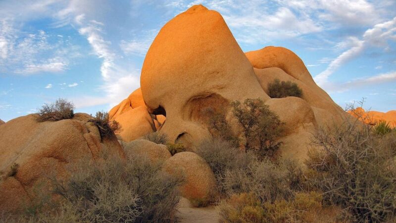 Journey into Joshua Tree: Audio Driving Tour and Local Guide - Final Thoughts on the Joshua Tree Audio Driving Tour