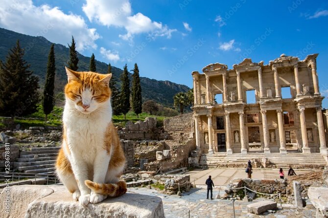 Journey to Ancient Wonders: Explore Ephesus with a Private Tour - Booking Details, Pricing, and Flexibility