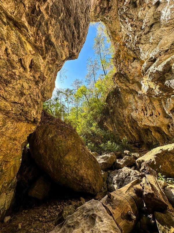 Juárez Highlands: Ecotourism and Workshop Experience - Exploring Sierra Juárez: The Starting Point at Guelatao and Ixtlán de Juárez