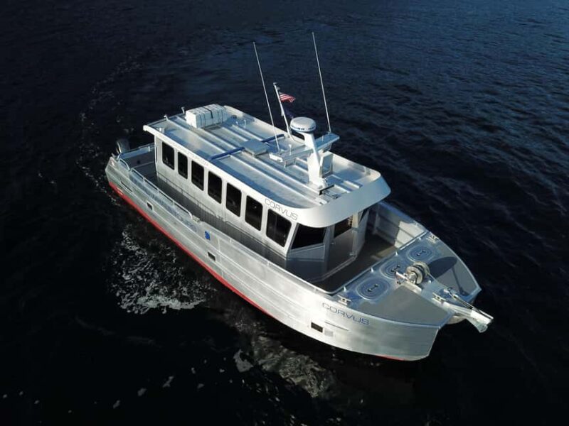 Juneau: 3.5-Hour Small Group Whale Watching Tour - How the Tour Starts and Where You Meet