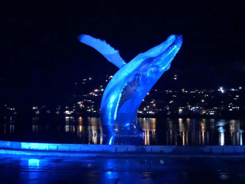 Juneau 3 Hour Scenic Road Trip Excursion - Key Points