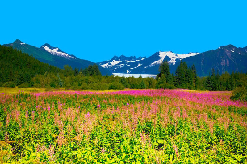 Juneau: City Highlights Bus Tour - Key Points