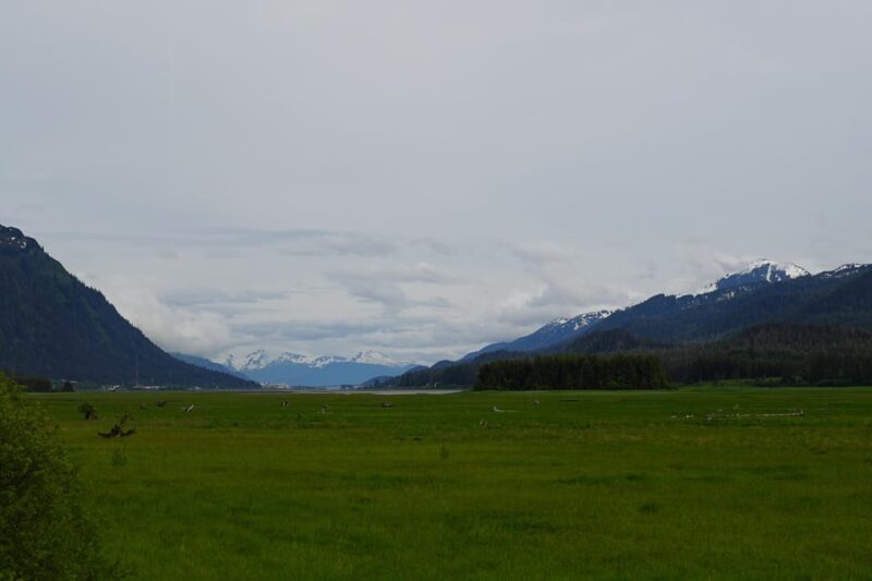 Juneau: City Highlights Bus Tour - View of Mendenhall Glacier from Brotherhood Bridge Park