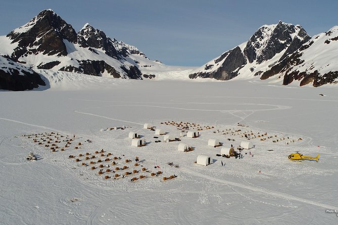 Juneau Helicopter and Dogsledding with Added Glacier Landing - The Final Scenic Flight and Return to Juneau