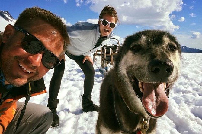 Juneau Helicopter and Dogsledding with Added Glacier Landing - The Value and Considerations of This Tour