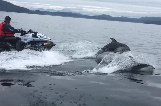 Juneau Jetski & Whale Adventure - The Thrill of Jet Skiing in Alaska’s Waters