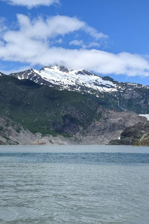 Juneau: Mendenhall Glacier Waterfall & Whale Watching Tour - Key Points