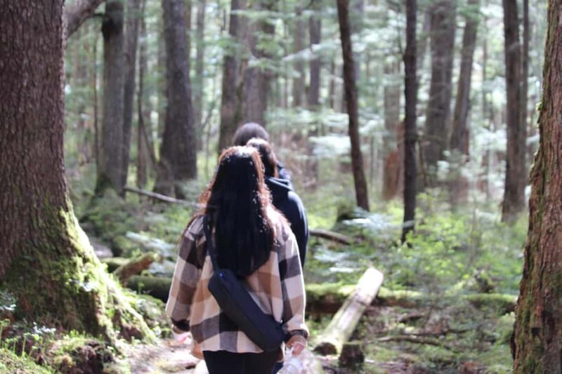 Juneau: Mindfulness in the Wilderness - Discovering a Quiet Forest and Ocean Overlook