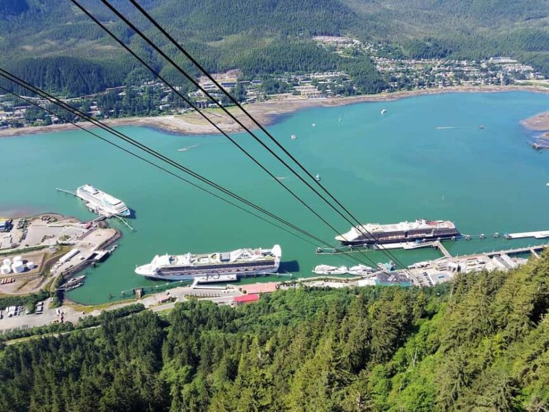 Juneau: Mount Roberts Tram Ride with App and Map - Juneau: Mount Roberts Tram Ride with App and Map — Final Thoughts