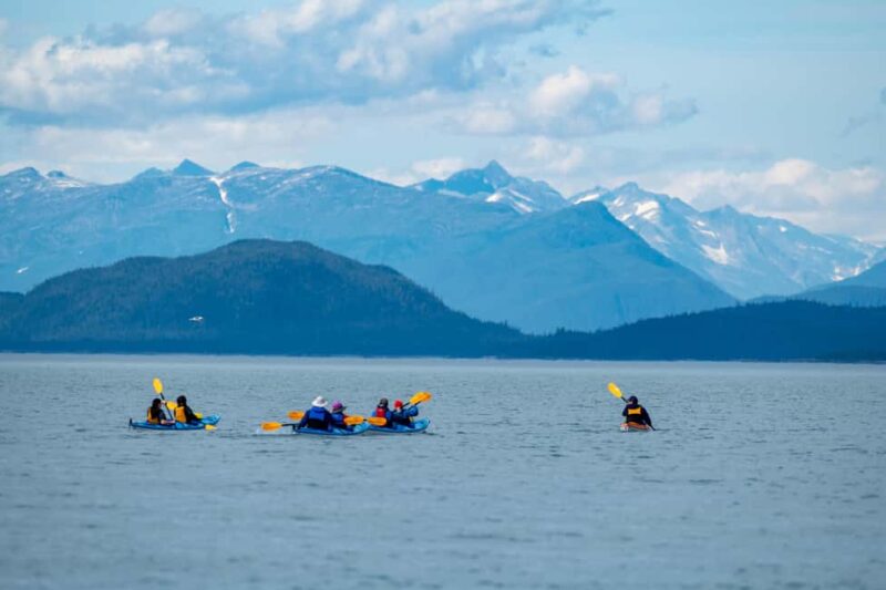 Juneau: Paddle with Whales Kayak Adventure - Wildlife Watching Tips and Guide Expertise
