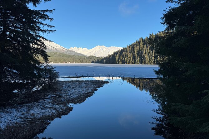 Juneau Private 3 Hour Sightseeing Tour with a Local - Insightful Visit to Dipac’s Macaulay Salmon Hatchery