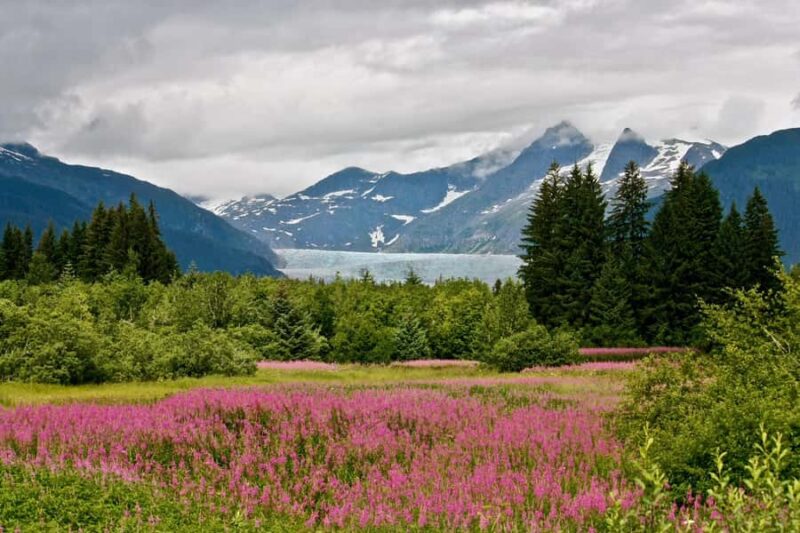 Juneau: Private Bike Tour with Glacier Views & Hatchery Stop - Experience an Exclusive, Private Bike Adventure in Juneau