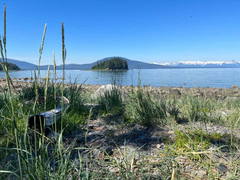 Juneau: Rainforest Photo Safari on a Segway - Wildlife Spotting and Native Flora