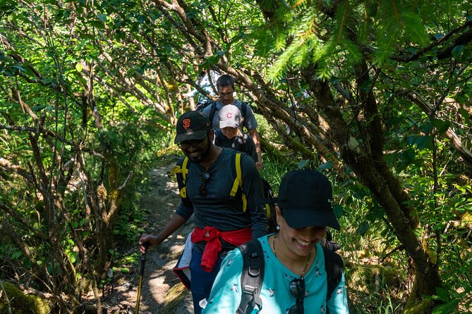 Juneau Shore Excursion: Mendenhall Glacier Guided Hike - Starting Point and Route in Juneau